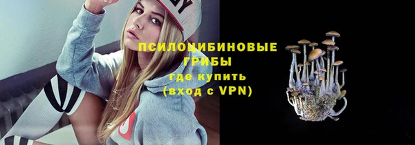 соль ск Верея