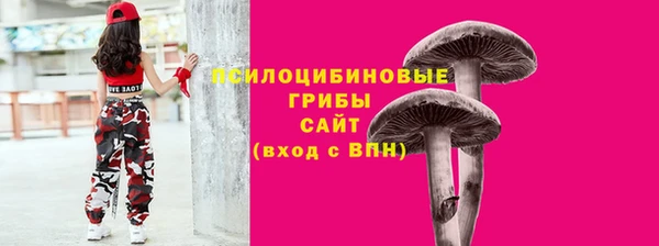 соль ск Верея