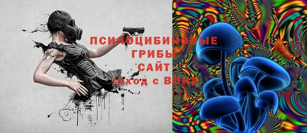 соль ск Верея