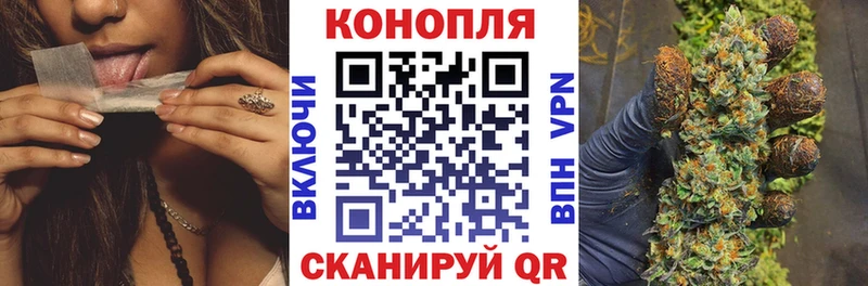 Купить где  Калач  Конопля план 